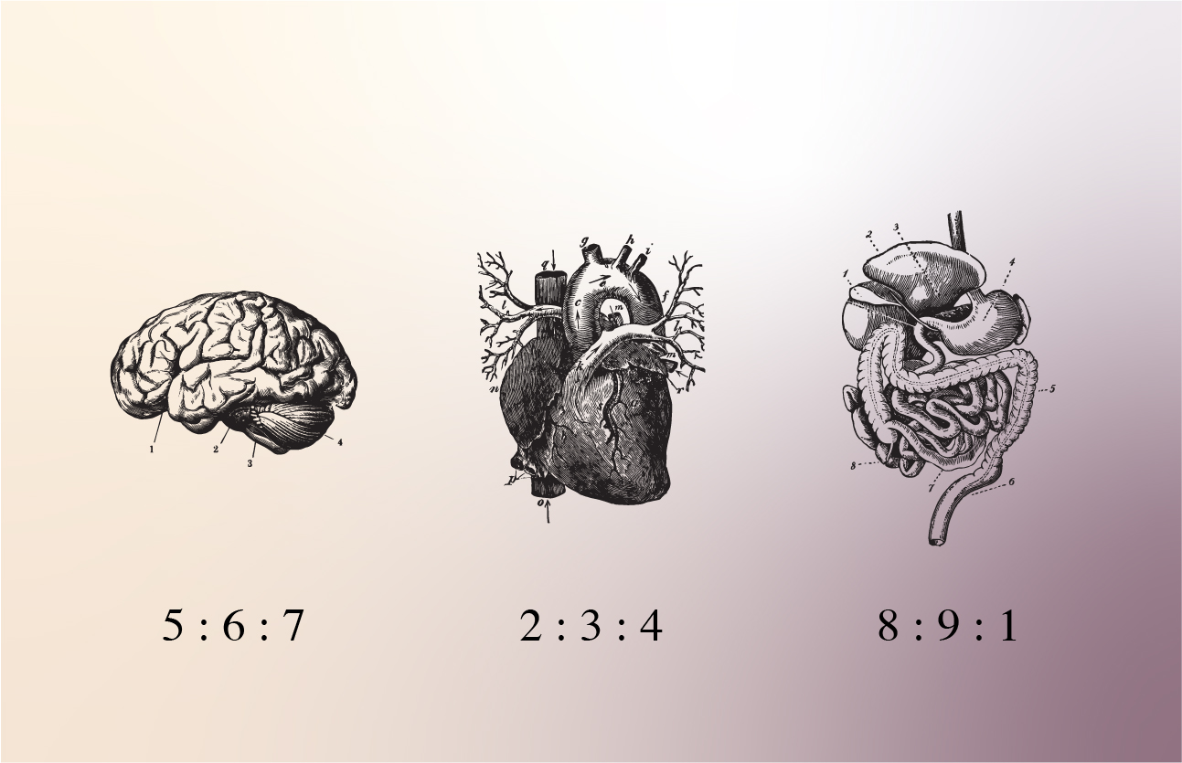 Proof Branding Takes The Enneagram Test.