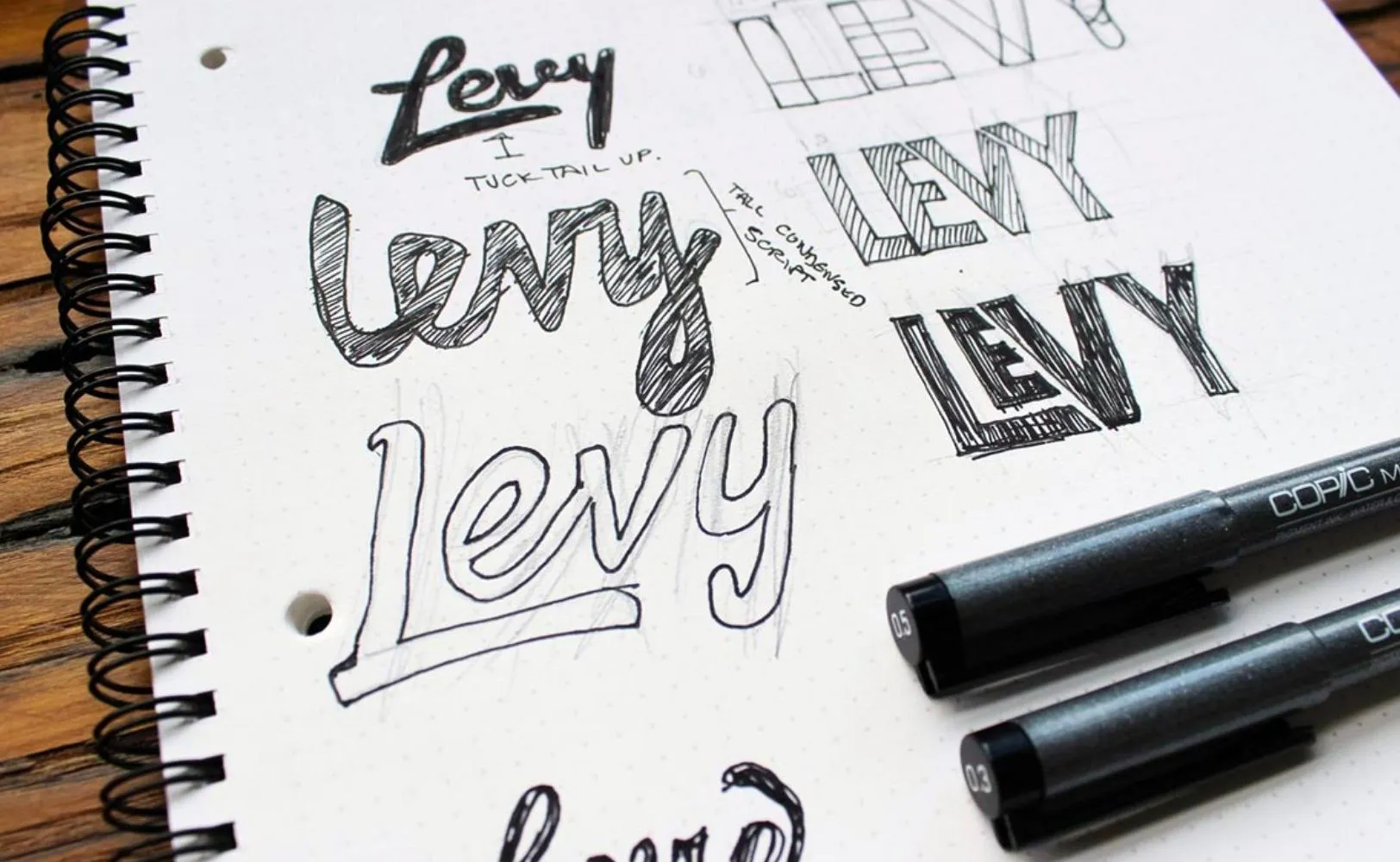 Project Preview Image for Levy Restaurants